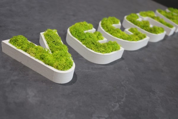 signarama-france-lettre-et-logo-vegetal-sur-mesure-5cb442091349a
